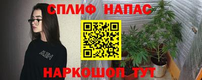 дмт Кандалакша