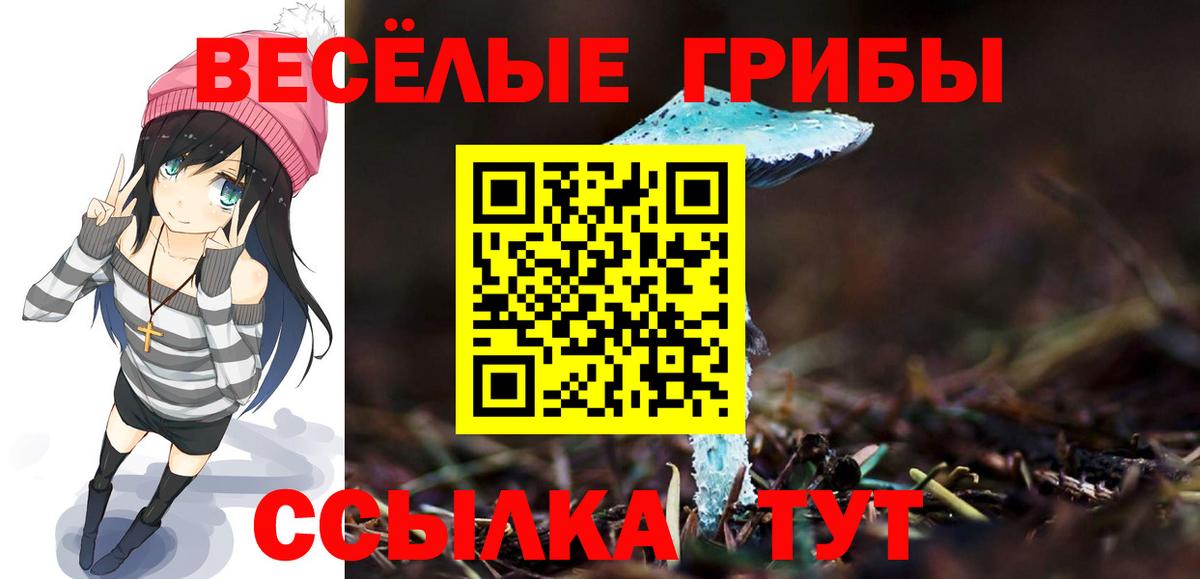 Галлюциногенные грибы Psilocybine cubensis Бутурлиновка