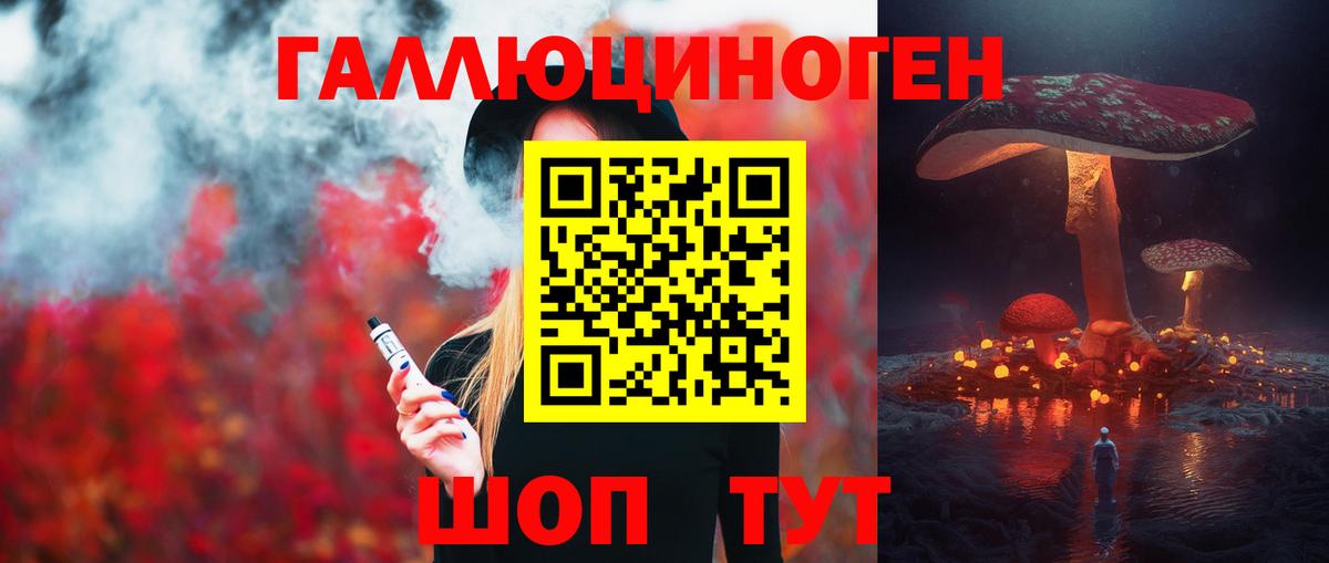 Псилоцибиновые грибы GOLDEN TEACHER  купить  цена  Бутурлиновка  Вход с VPN 